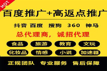 实战派经验分享：百度竞价代理成功案例揭秘
